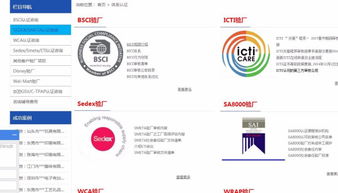 速訊企業管理咨詢公司 業務概覽與職業發展前景探析